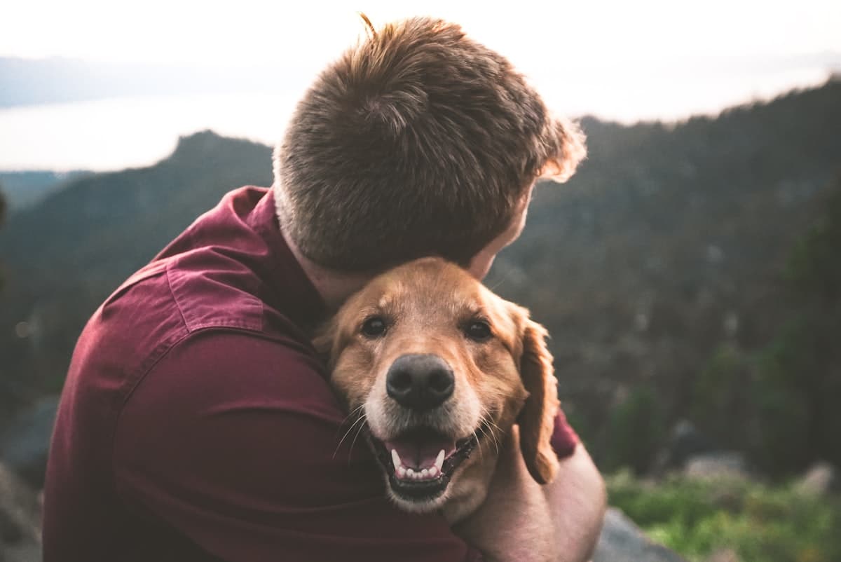 Persona abrazando a su perro feliz al aire libre